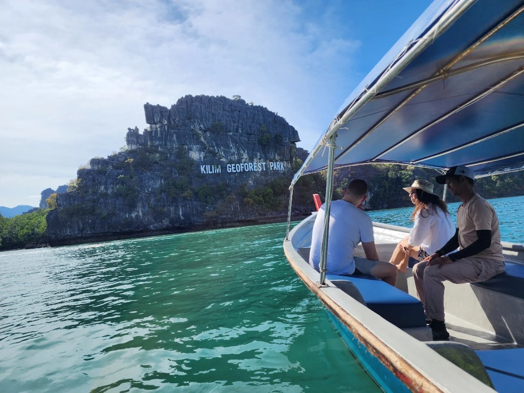 Mangrove Tour